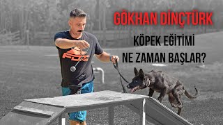 Köpek Eğitimi Ne Zaman Başlar?