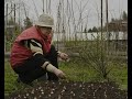 5 мая - День Луки, Народный календарь
