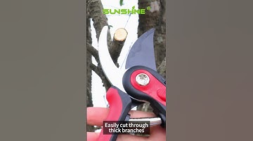 Big and Small Dual Opening Cutting Mode | Suitable for both big and small hands #gardentools #prune
