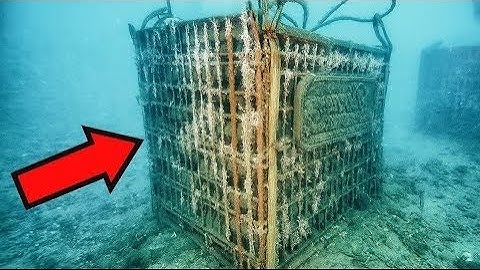 [FULL-STORY] Underwater Robot Discovered Strange Container Under The Sea But Inside Shocked Everyone