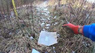 Setting Cable Restraints for Fox and Coyotes #coyotetrapping #foxtrapping #cablerestraints