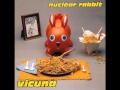 Nuclear Rabbit - A Little Squirrel and His Crack Pipe
