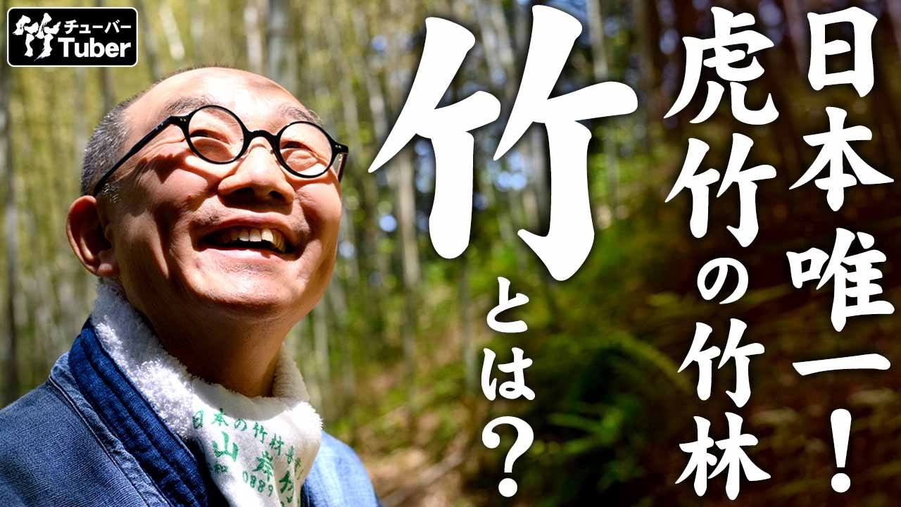 【竹販売】自然の竹取り放題です！ なぜ今、竹を切るのか？】放置竹林のリアルを知り、里山と向き合う3