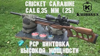 Cricket Carabine 6.35 мм  Пневматическая винтовка РСР высокой мощности. Обзор.