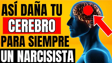 ¿Cómo afecta el abuso narcisista al cerebro?