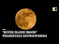 Rare ‘super blood moon’ draws skywatchers around the world