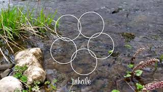 Take a break and rejuvenate - Guided box breathing exercise