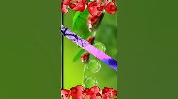 تلاوة خاشعة بصوت ابوا صهيب. صلي وسلم على نبيك