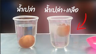 ทดลองวิทยาศาสตร์ "ไข่ลอยน้ำ"