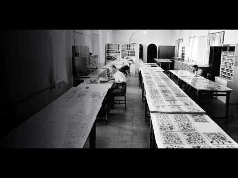 the-new-dead-sea-scrolls-“scroll-number-12-translation-one-“-#paranoidtimes-#bestseller-#novel