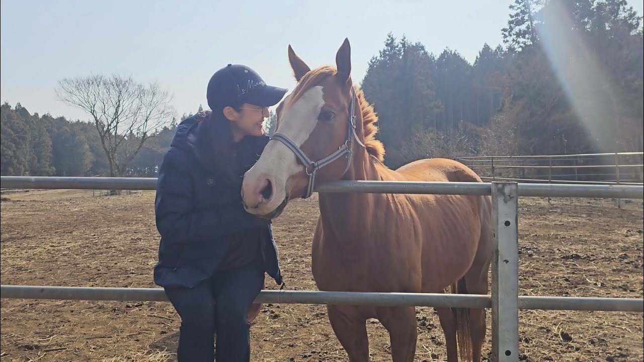 아기를 기다리며💜 제주 2일차. 프네 배 만져보기. 다정한 아이