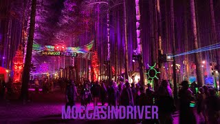 ELECTRIC FOREST FESTIVAL 2022 POV Experience Day 1