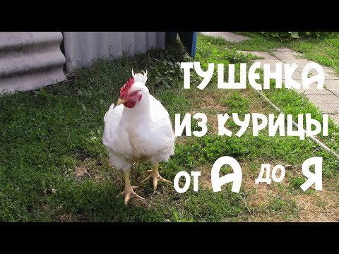 Лучшая ТУШЕНКА ИЗ БРОЙЛЕРА БЕЗ Автоклава от "А" до "Я"!  Как Правильно Хранить Тушёнку