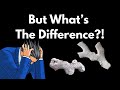 Bryozoan or Coral? Explained! What Is The Difference? #fossils #coral #bryozoan #rockhounding
