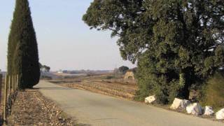 Tableaux De Provence By Paule Maurice Mvt 5 Mov Youtube