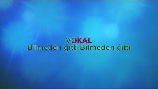 MÜSLÜM GÜRSES   GİTMESEYDİ ONUN KULU OLURDUM 1 VOKALLİ Resimi