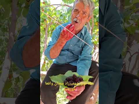 کلیپ به زبان سمنانی در ايران زبان سمنانی سنگسری سرخه ای ولکی ثبت ملی شده که سه تاش از سمنانه
