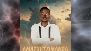 Mr. Sphiwe & DMC_0027 - Amatxutxubanga (Oficial Audio) Vizualizer