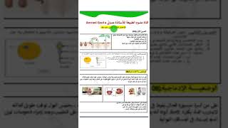 اختبار الفصل الثالث مقترح بقوة اولى متوسط