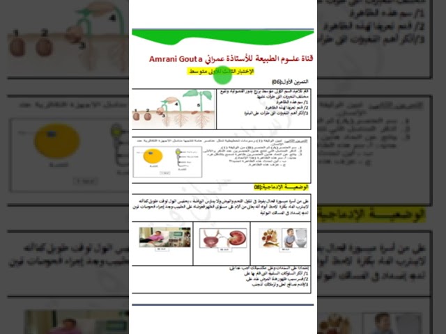 اختبار الفصل الثالث مقترح بقوة اولى متوسط
