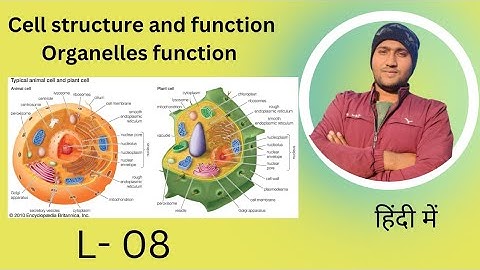 Cell structure and function | Cell theory |  Cell Organelles | Cell the unit of life class 11