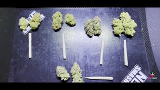 Smoke Section Taste Test and Harvest Talk