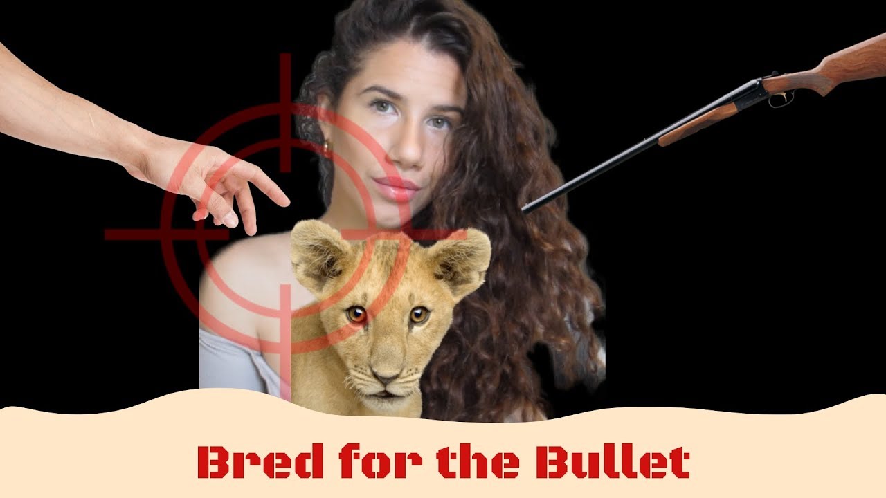 Canned Lion Hunting Explained in Under 10 Minutes