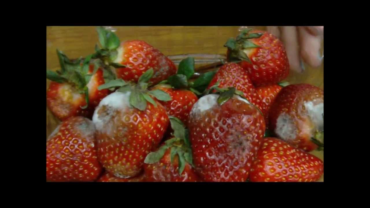 Strawberry Test Final Episiode YouTube