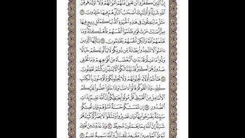 القرآن الكريم | القارئ ياسر الدوسري صفحة 65 سورة آل عمران