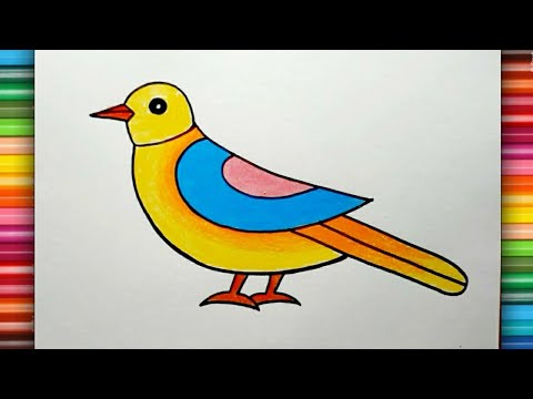 How to Draw Birds Step by Step || Birds Drawing Colour || Bird Scenery  Drawing for Beginners.. - YouTube