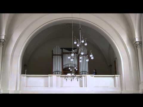 Видео: Органно-Вокальный концерт «Звуки эпох»