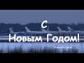 Ирония Судьбы или Нежность к ревущему зверю!