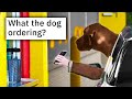 r/Confusing_Perspective | what the dog ordering?