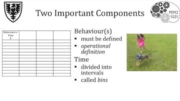 Ethogram Instructions