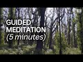 Guided Meditation For Resilience (5 Minutes) | Natural Mindful