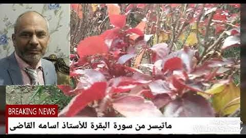 قراءة خاشعة من سورة البقرة للأستاذ اسامه القاضى