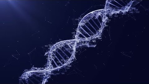 DNA | Motion Graphics - Videohive template