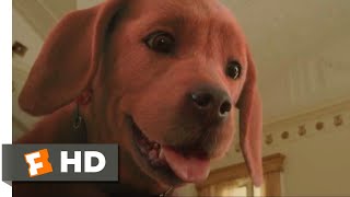 Clifford the Big Red Dog (2021) - Clifford Meets the Bully Scene (5\/10) | Movieclips