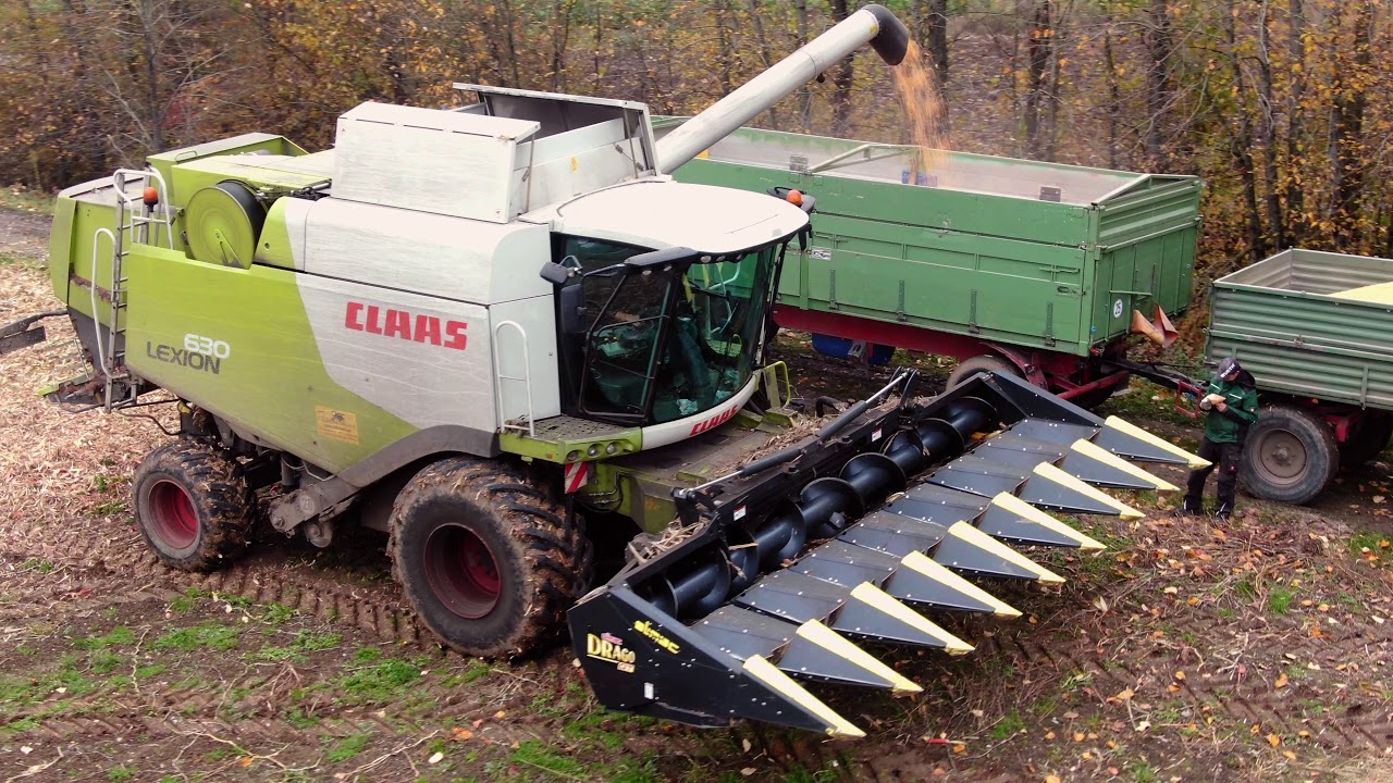 CLAAS LEXION 630 - Maisernte