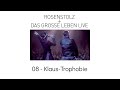 08  klaus trophobie  rosenstolz  das grosse leben live 2006