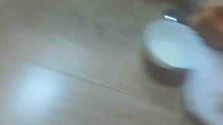 18 Октября 2022 Г.