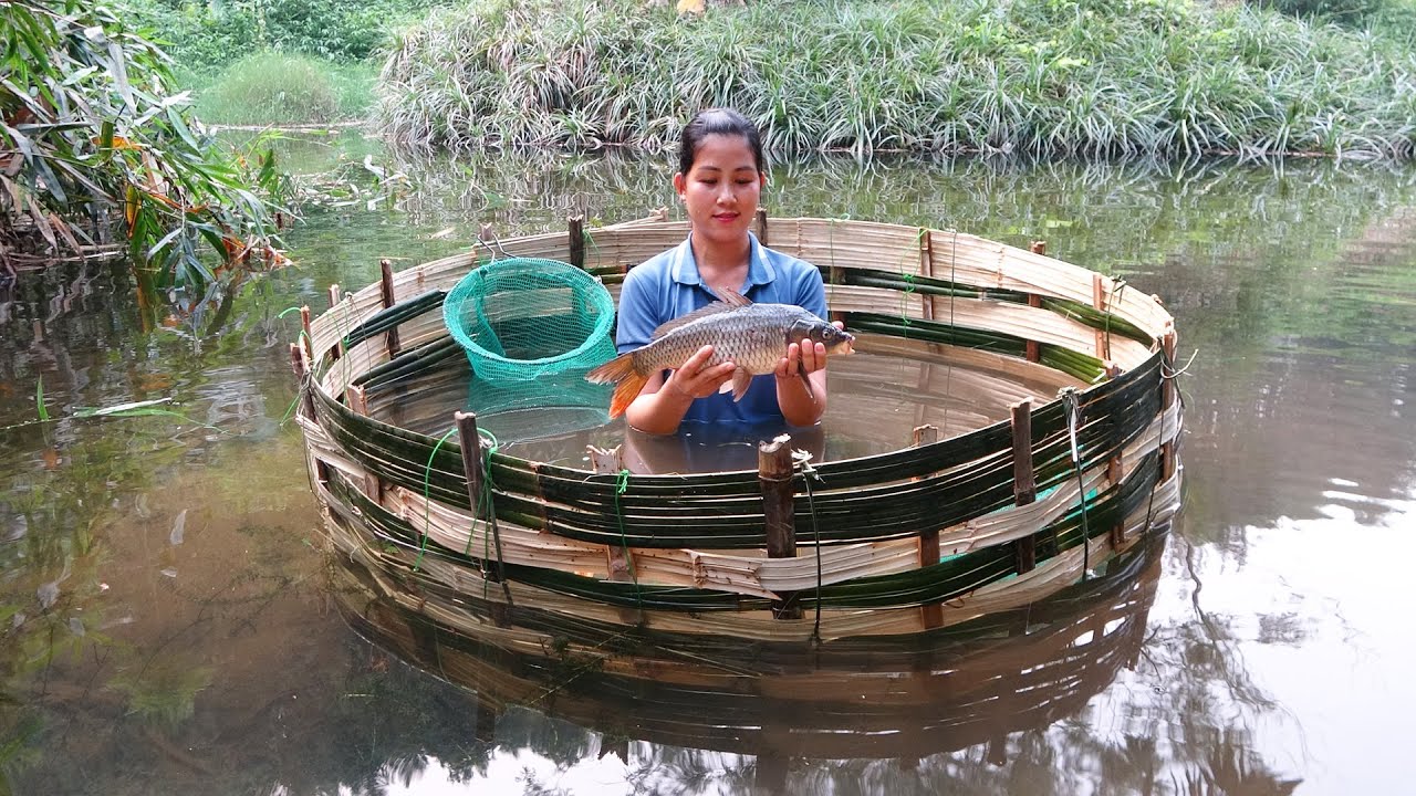 Make a fish trap out of bamboo and catch a lot of fish - Take care