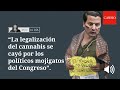 &quot;El proyecto que regulaba el cannabis se cayó por los políticos mojigatos del Congreso&quot;: MJD