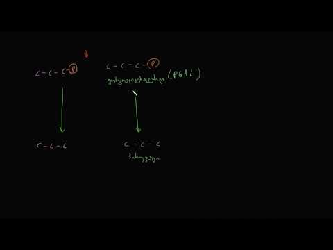 გლიკოლიზის მიმოხილვა