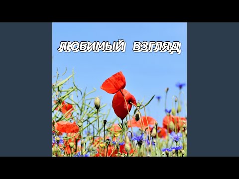 ЛЮБИМЫЙ ВЗГЛЯД