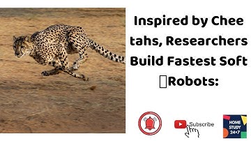 Inspired by Cheetahs, Researchers Build Fastest Soft 🤖Robots: Recent Update( 8th May, 2020)