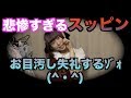 【悲惨】スッピンで私服を着るとこうなる【大惨事】