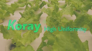 Soft tailed lettuce is grown screenshot 3
