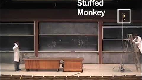 demo  - shoot the monkey and projectile motion (clipped from MIT)