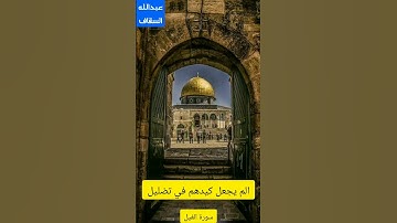 آرح قلبك مع القارئ عبدالله السقاف سورة الفيل ♥